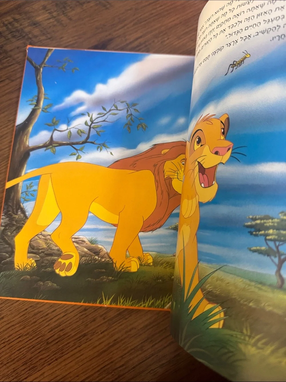 Hebrew Disney’s The Lion King C1.LBk.8